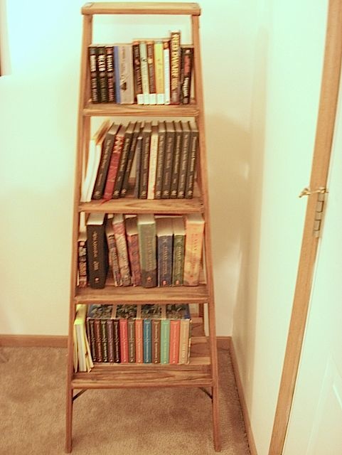 Old Ladder Bookshelf