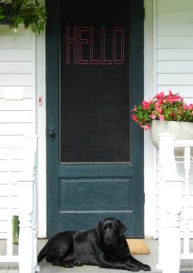 Stitched Screen Door