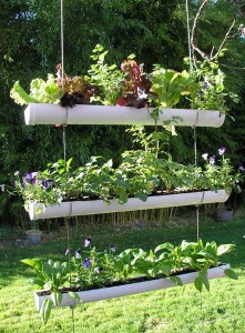 Vertical Garden