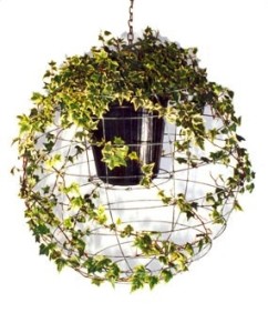 Vine Lantern