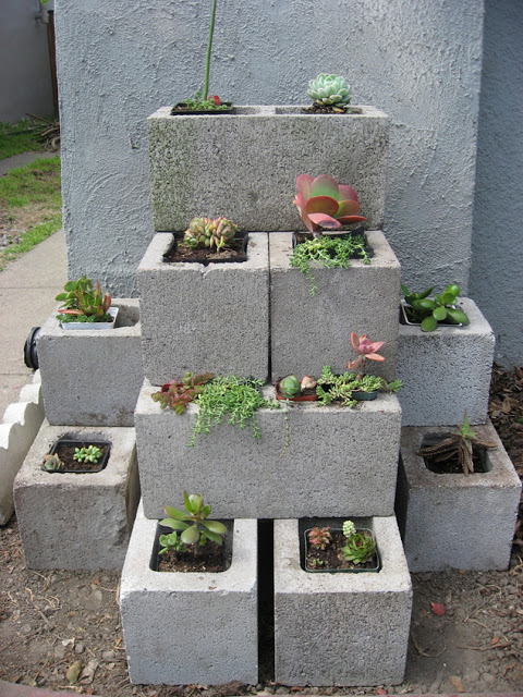 DIY Cinder Block Planter