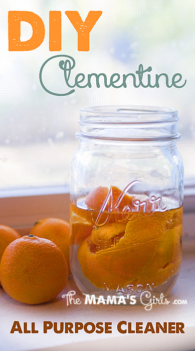 DIY Clementine All Natural Cleaner