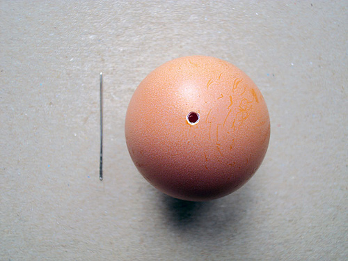 Message in an Egg